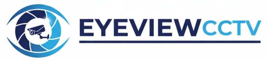 eyeviewcctv1991.com